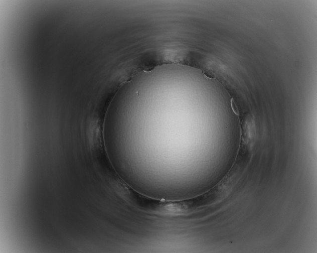 X0000090490522200707201539
