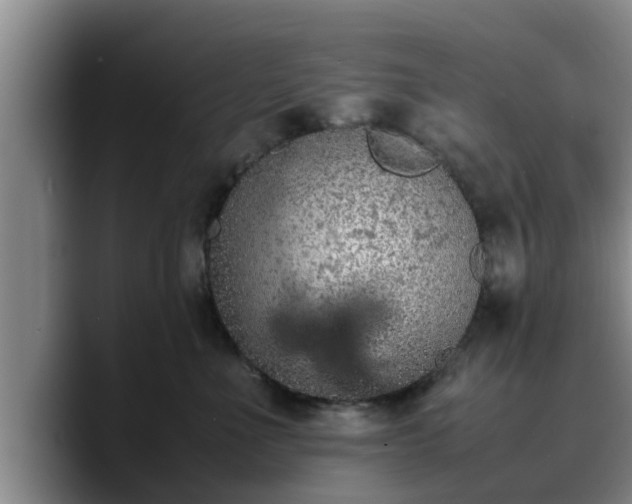 X0000090490523200707201539