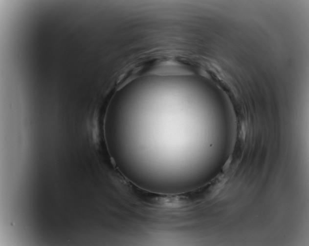 X0000090490524200707201539