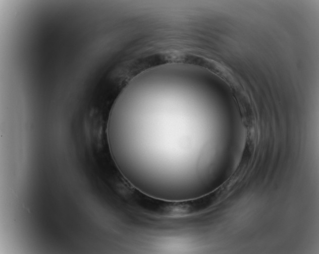 X0000090490525200707201539