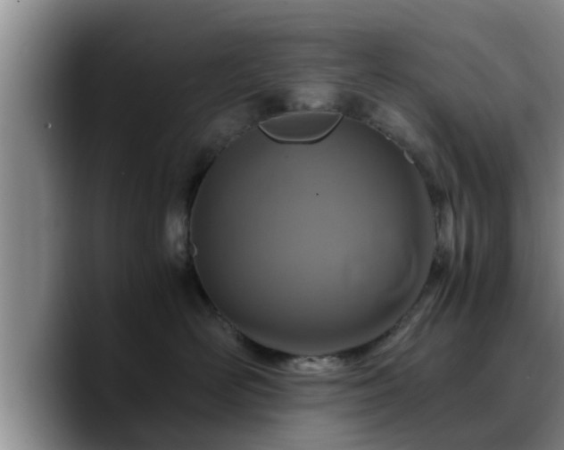X0000090490526200707201539