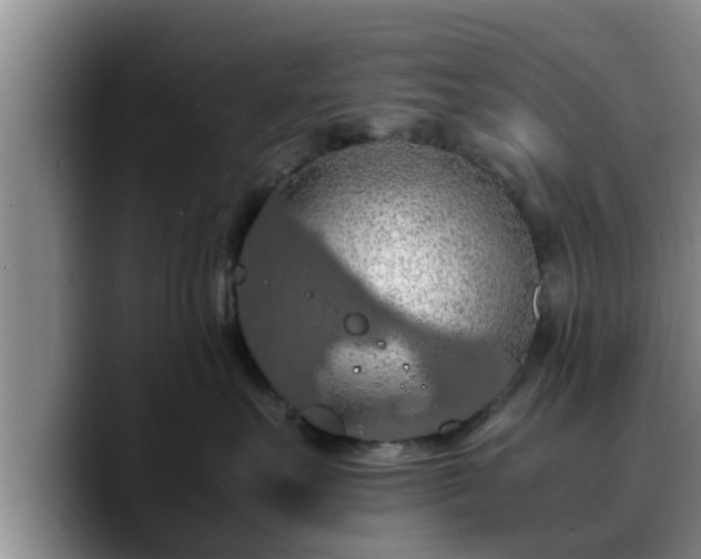 X0000090490527200707201539