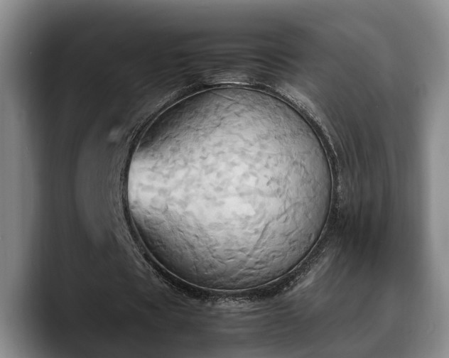X0000090490529200707201539