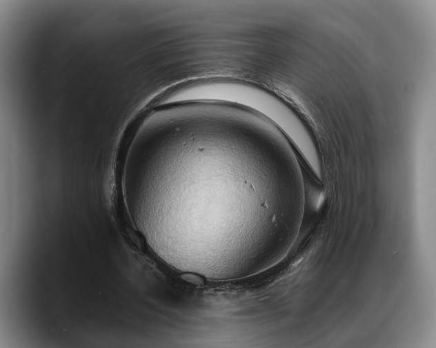 X0000090490532200707201539