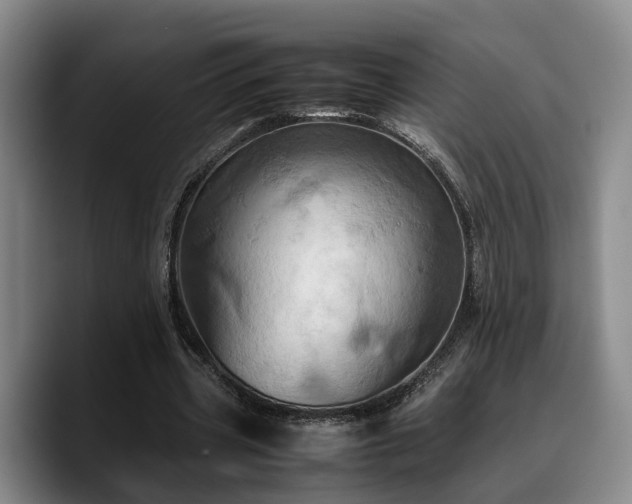 X0000090490533200707201539