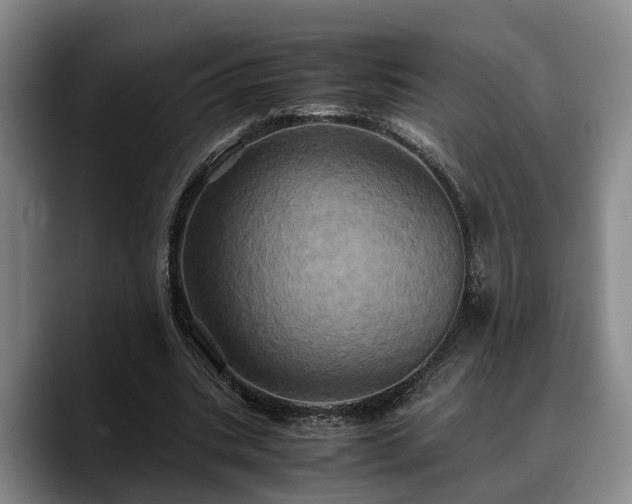 X0000090490535200707201539