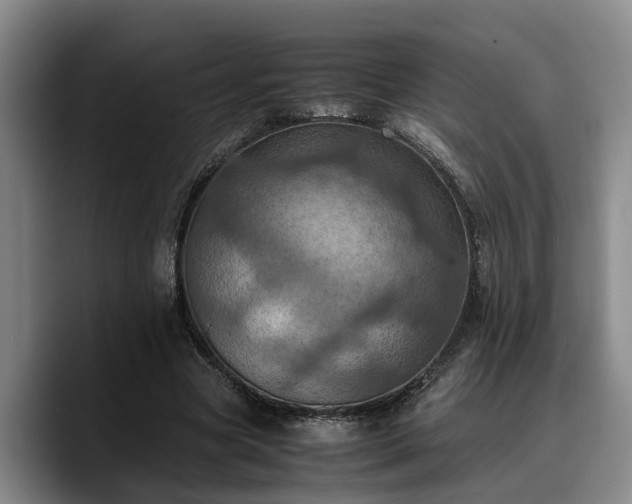 X0000090490537200707201539