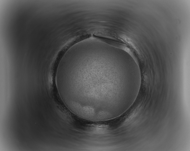 X0000090490539200707201539