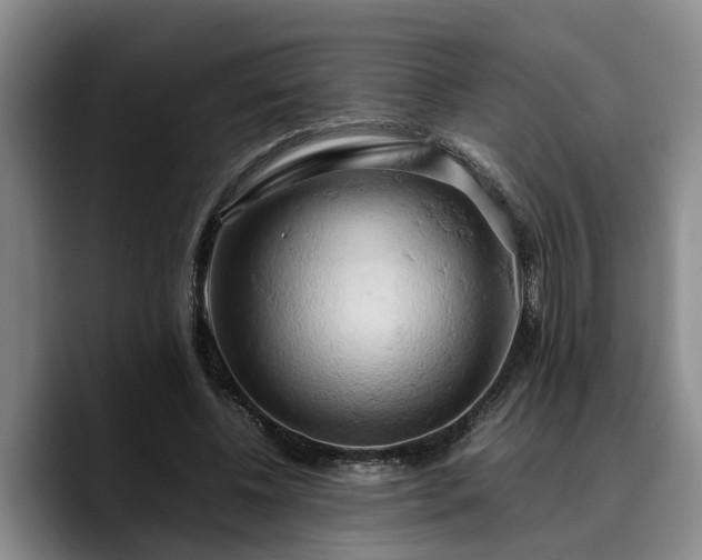 X0000090490540200707201539