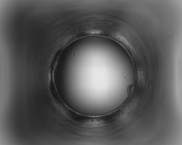 X0000090490541200707201539