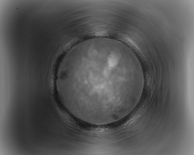 X0000090490542200707201539