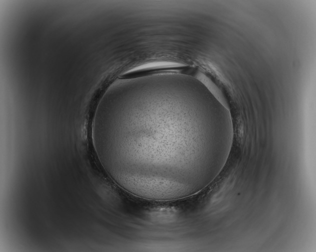 X0000090490543200707201539