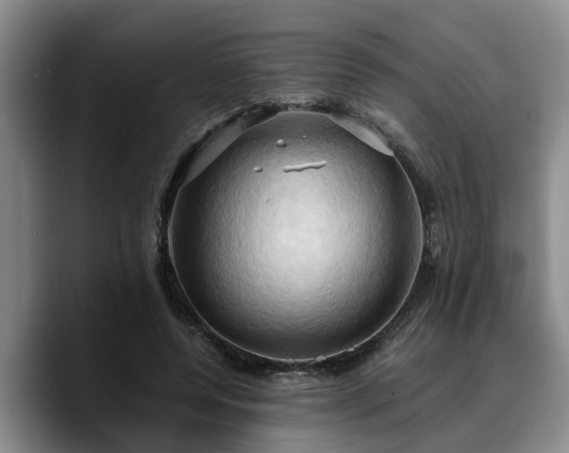 X0000090490544200707201539
