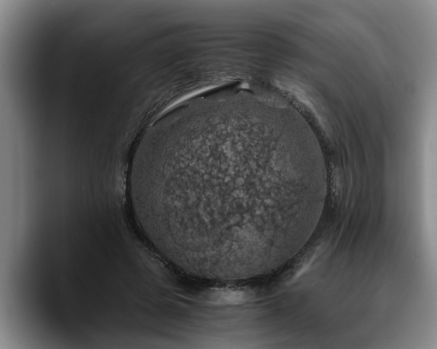 X0000090490545200707201539