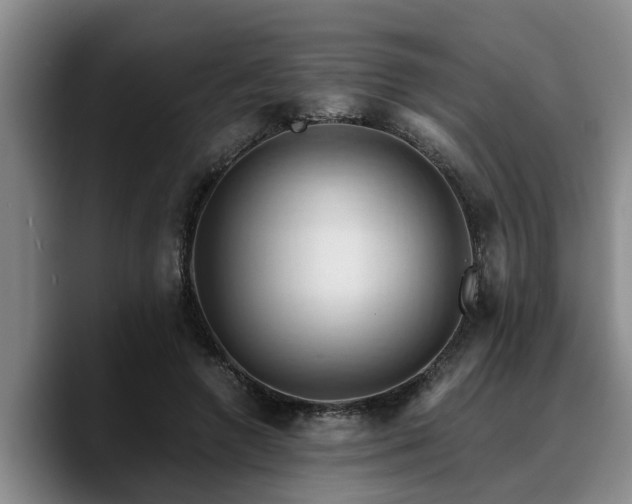 X0000090490546200707201539
