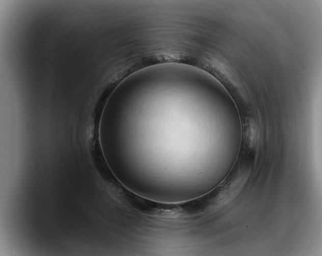 X0000090490548200707201539