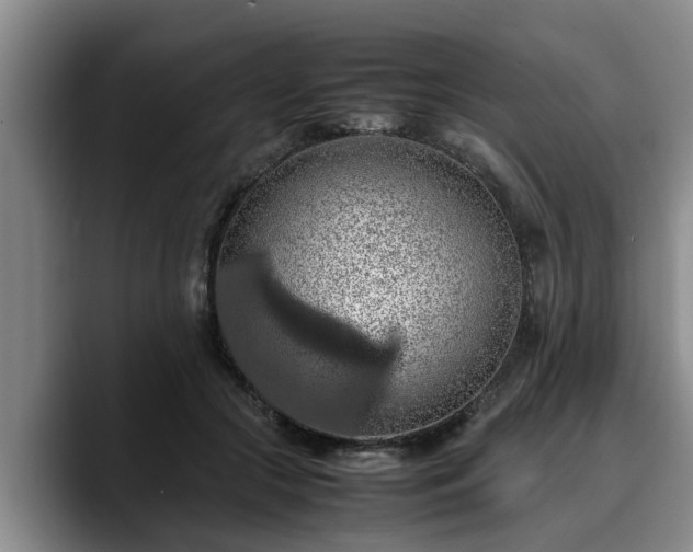 X0000090490553200707201539
