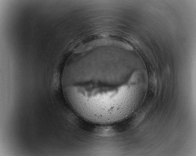 X0000090490554200707201539
