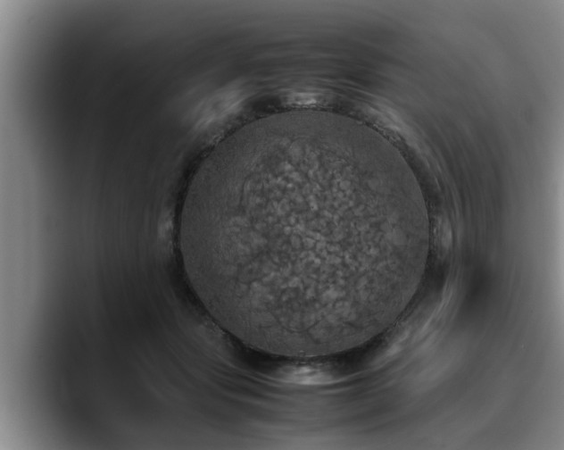 X0000090490557200707201539