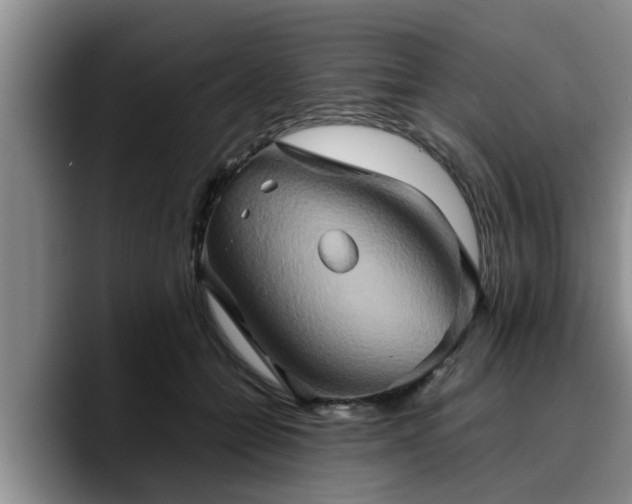X0000090490558200707201539