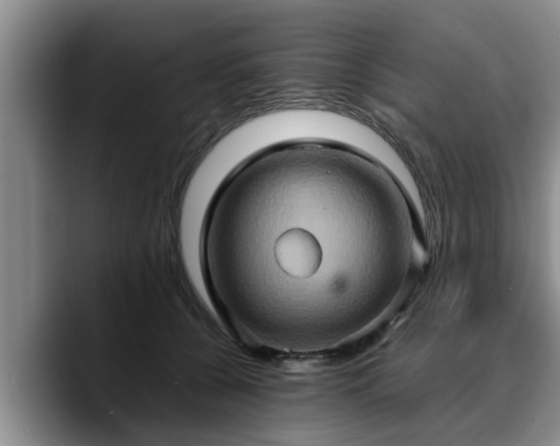 X0000090490560200707201539