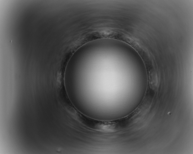X0000090490563200707201539