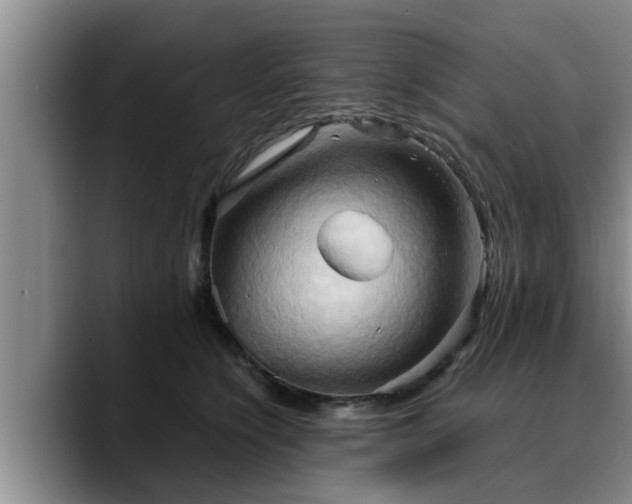 X0000090490564200707201539