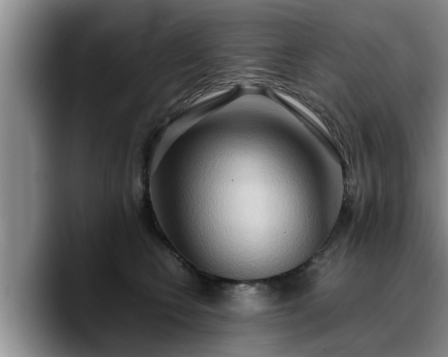 X0000090490566200707201539