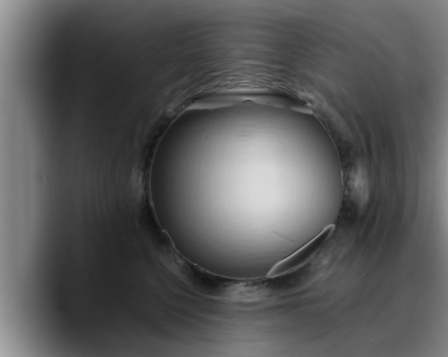 X0000090490568200707201539