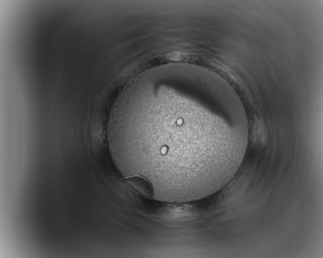 X0000090490569200707201539