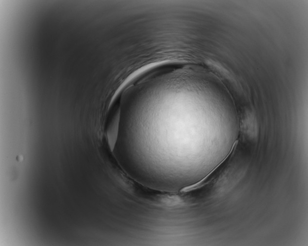 X0000090490572200707201539