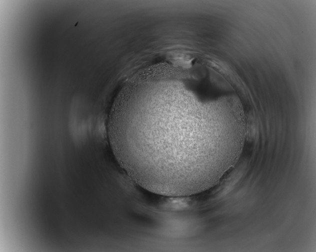 X0000090490573200707201539