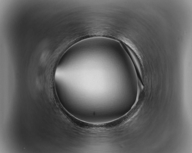 X0000090490577200707201539