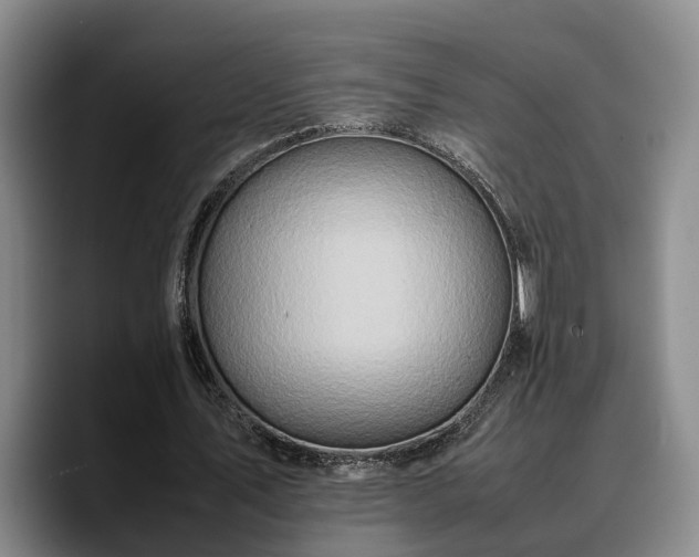 X0000090490579200707201539
