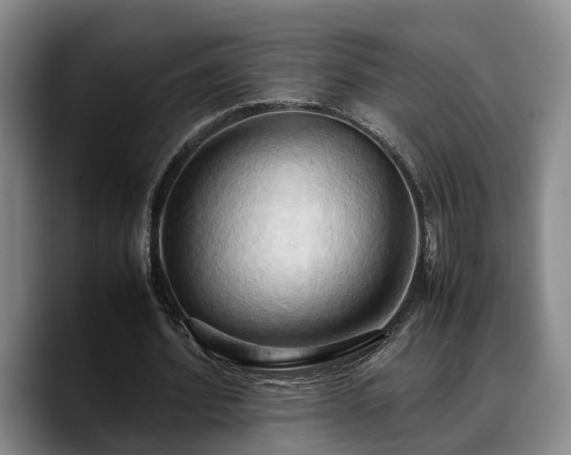 X0000090490580200707201539