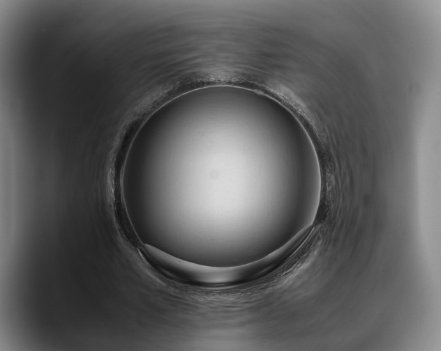 X0000090490581200707201539