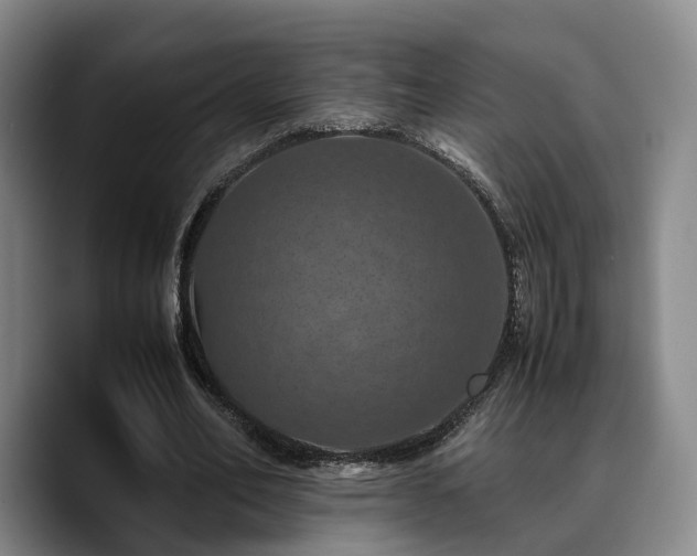 X0000090490582200707201539