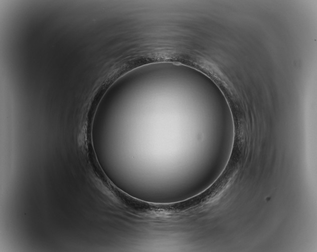 X0000090490585200707201539