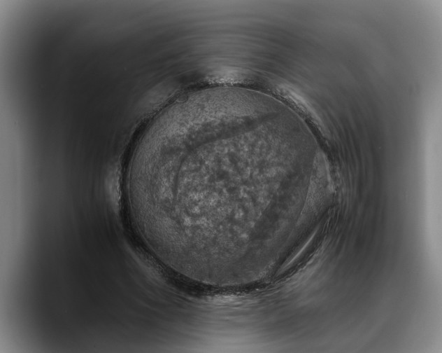X0000090490586200707201539