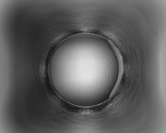 X0000090490587200707201539