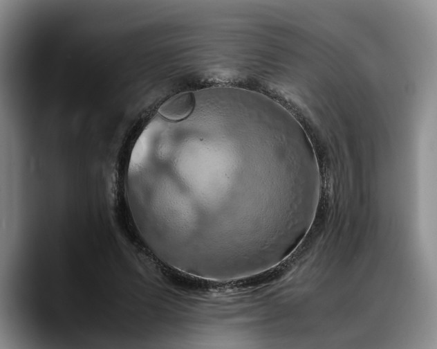 X0000090490591200707201539