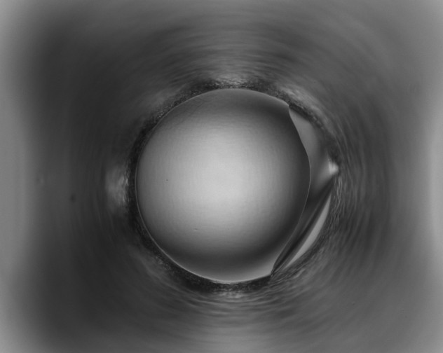 X0000090490596200707201539