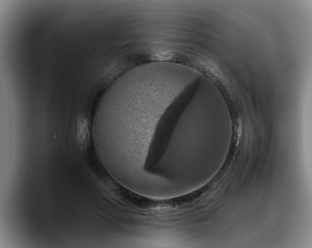 X0000090490598200707201539