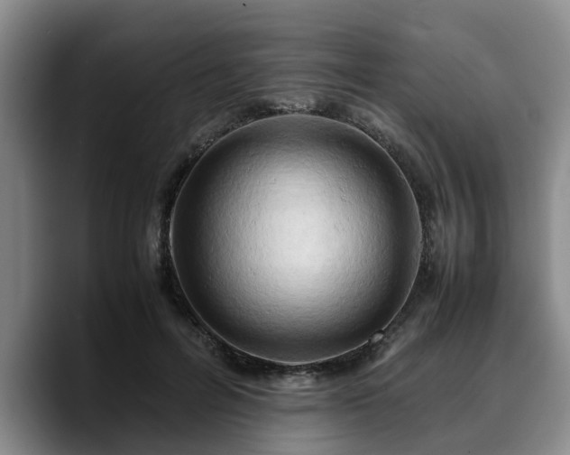 X0000090490600200707201538