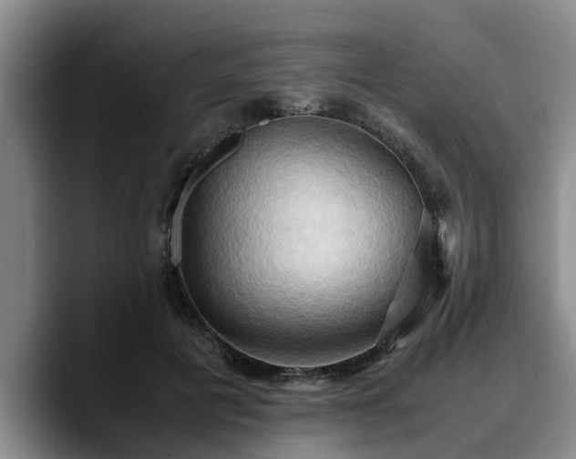 X0000090490601200707201538