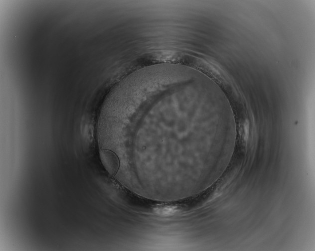 X0000090490602200707201538