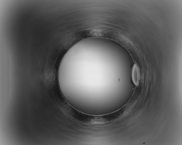 X0000090490603200707201538