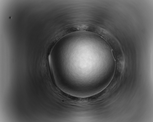 X0000090490604200707201538