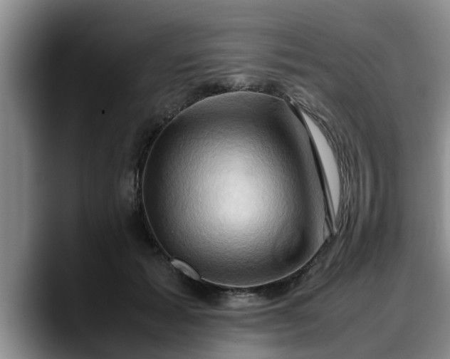 X0000090490605200707201538