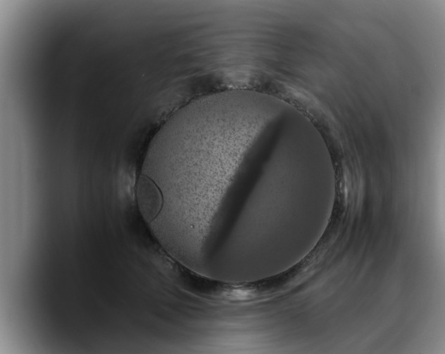 X0000090490610200707201538